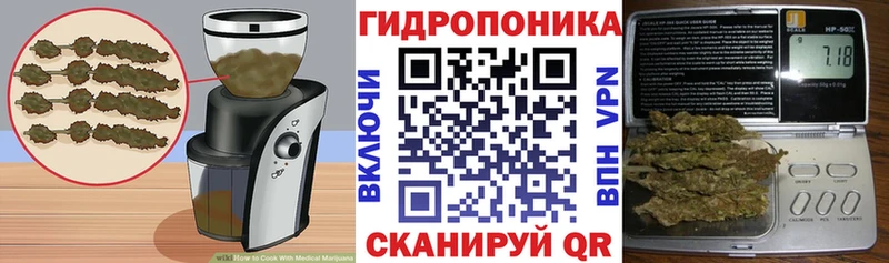 цены наркотик  Егорьевск  Еда ТГК марихуана 
