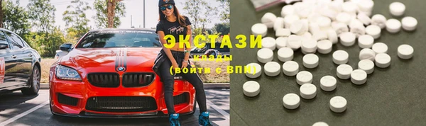 мдпв Гусев