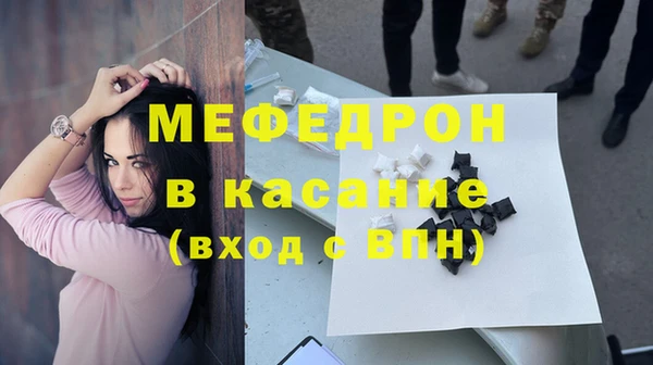 мдпв Гусев