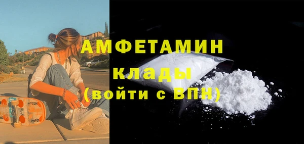 мдпв Гусев