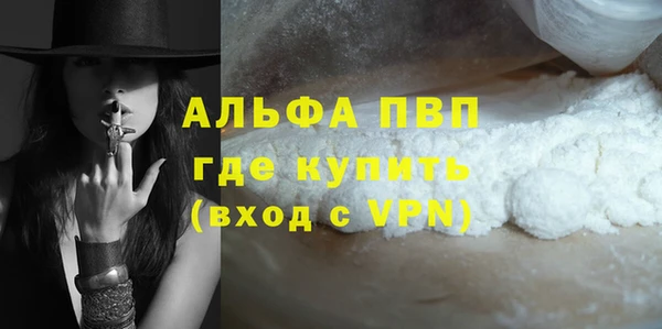 мдпв Гусев