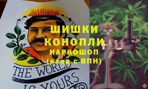 spice Гусь-Хрустальный