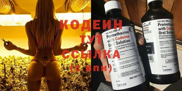 spice Гусь-Хрустальный