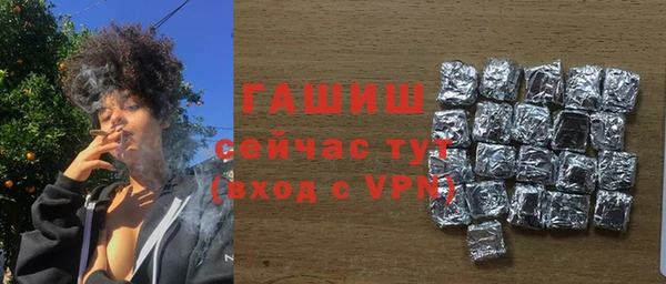 мдпв Гусев