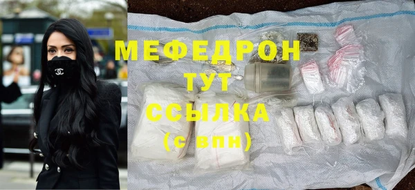 мдпв Гусев