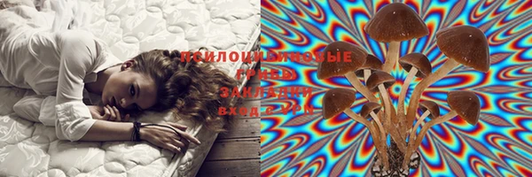 ешки Гусиноозёрск