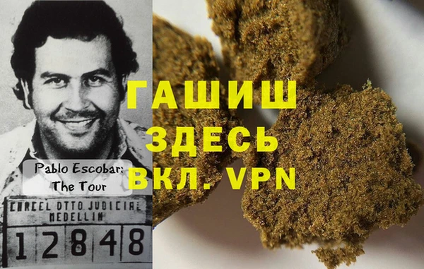 мдпв Гусев