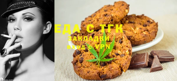 мдпв Гусев