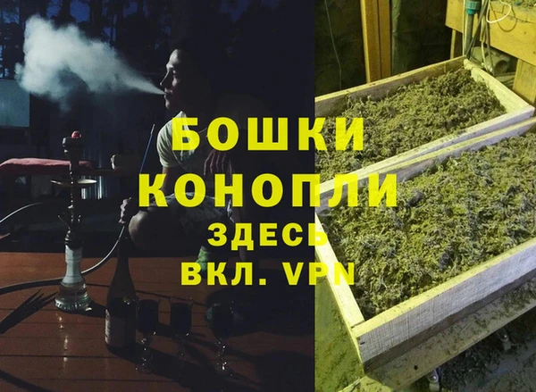 spice Гусь-Хрустальный
