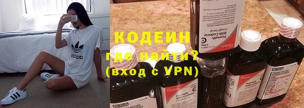 мдпв Гусев