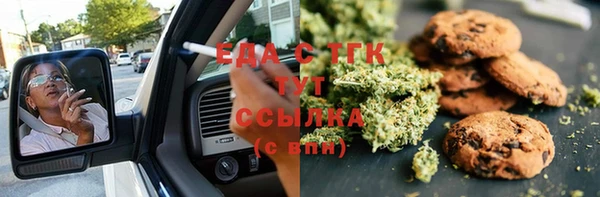 мдпв Гусев