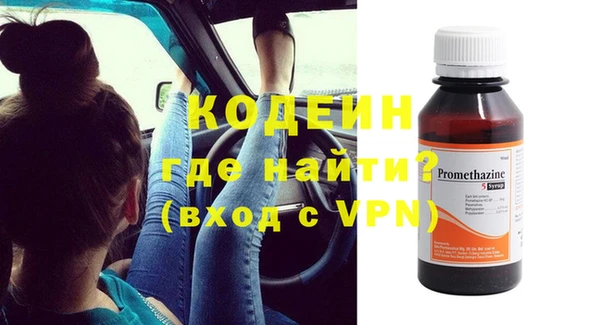 мдпв Гусев