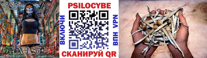 нарко площадка клад Егорьевск Псилоцибиновые грибы Psilocybine cubensis кракен ТОР