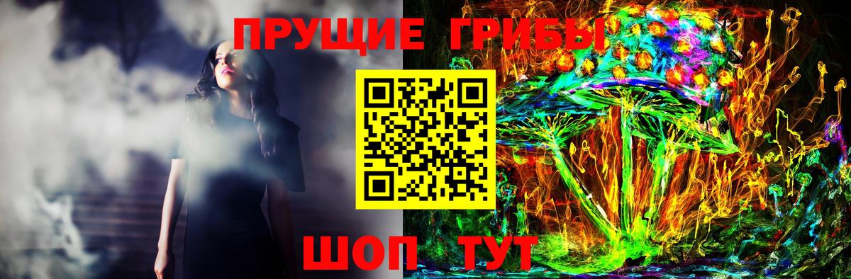 Егорьевск  Псилоцибиновые грибы GOLDEN TEACHER  Вход с VPN 